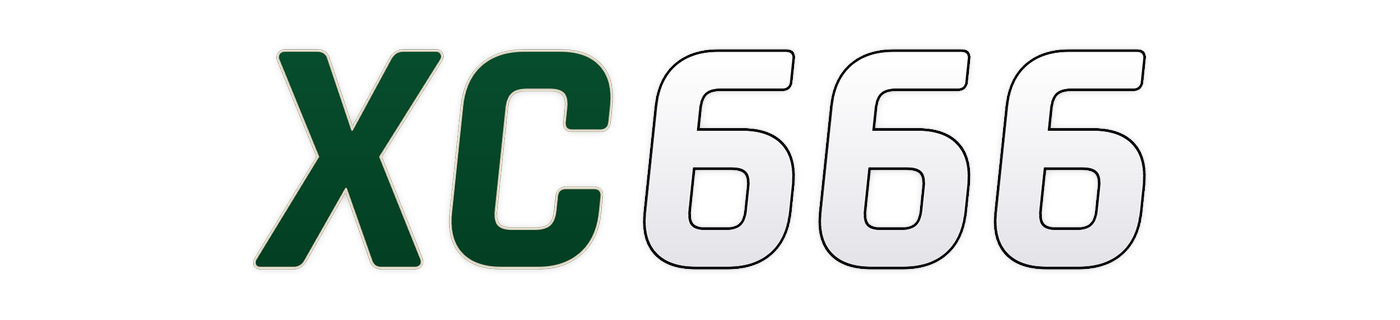 xc666